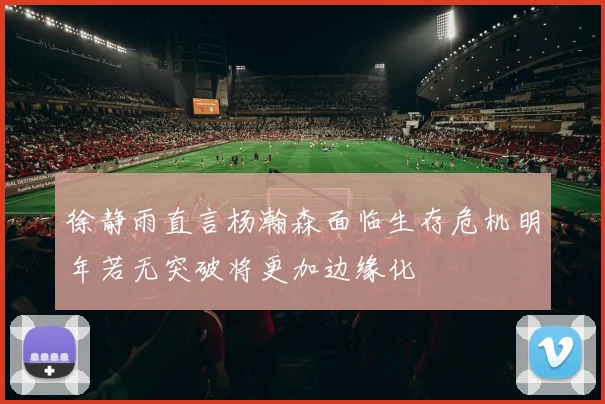 徐静雨直言杨瀚森面临生存危机明年若无突破将更加边缘化